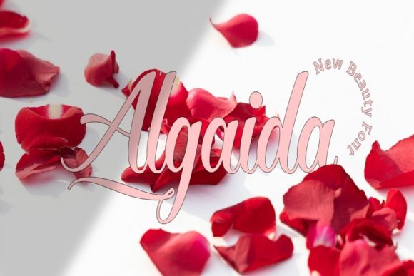 Algaida Font Review: Elevate Brand Identity with Modern Script