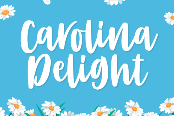 Carolina Delight: A Playful Script Handwritten Font for Creative Branding