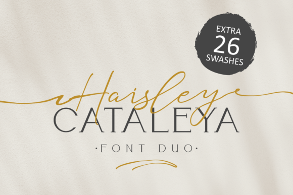 Haisley Cataleya Typeface Review for Campaign Design