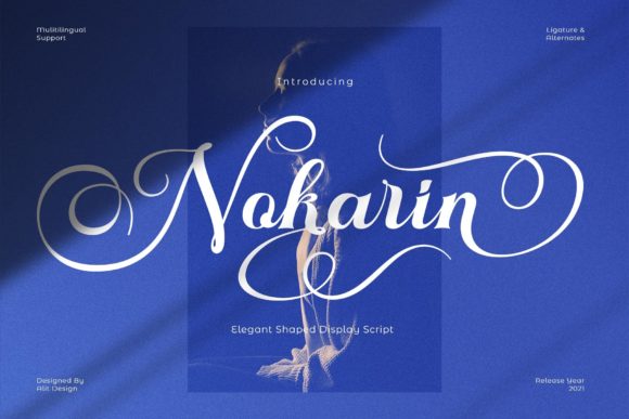 Nokarin Font Review: Elegant Script for Campaign Design