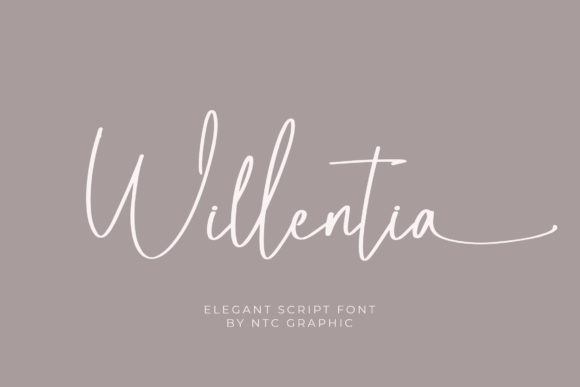 Willentia: A Graceful Script Font for Elegant Branding